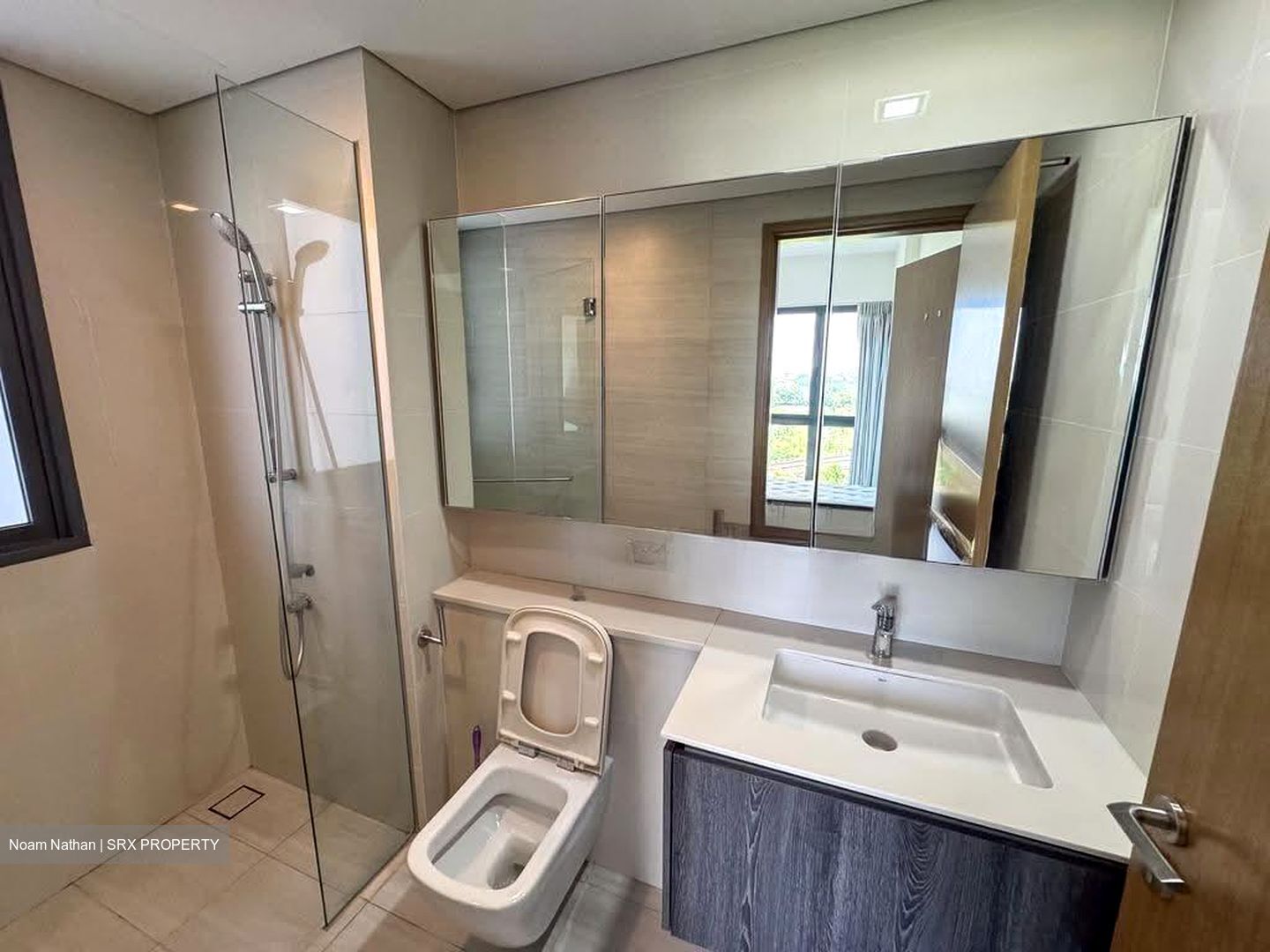 Lakeville (D22), Condominium #607779661